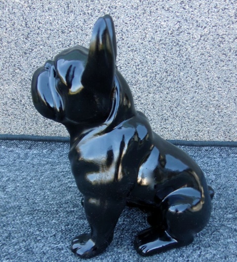Buldog francuski czarny