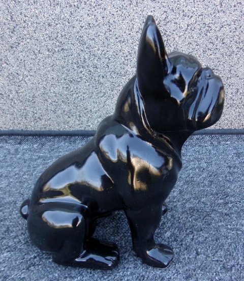 Buldog francuski czarny
