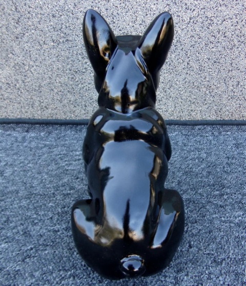 Buldog francuski czarny