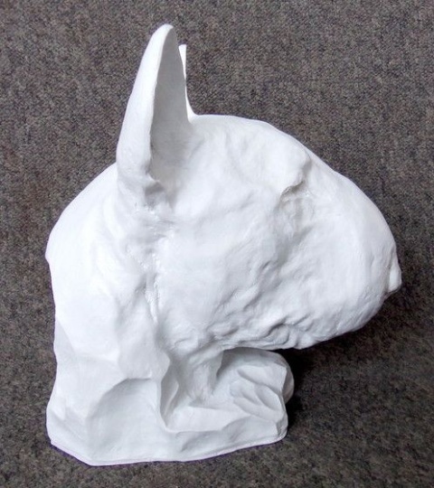 Bulterier popiersie (białe)