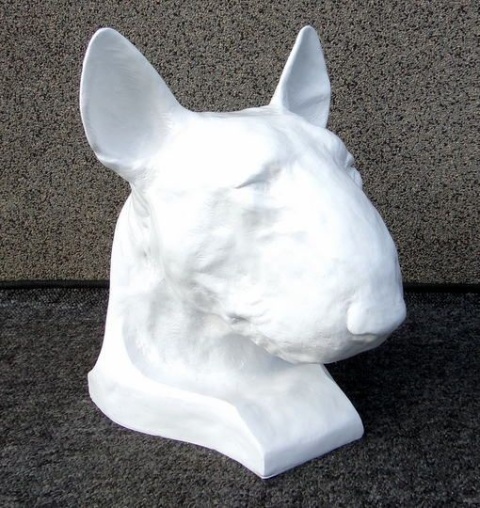 Bulterier popiersie (białe)