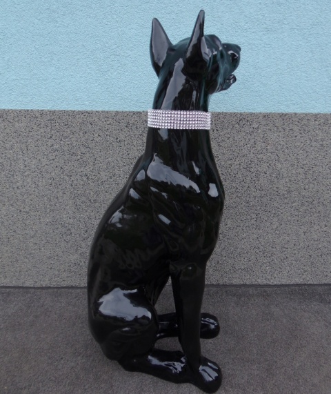 Doberman czarny