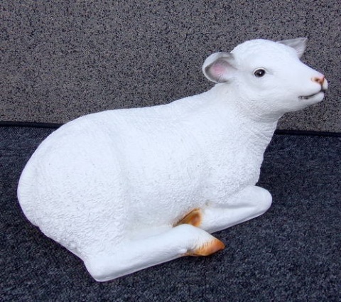 Owieczka leżąca średnia