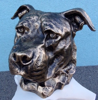 Popiersie Staffordshire Bull Terrier