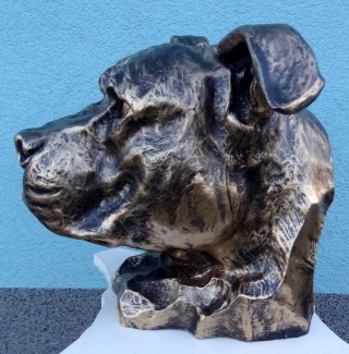 Popiersie Staffordshire Bull Terrier