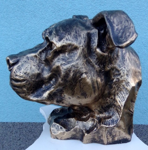 Popiersie Staffordshire Bull Terrier