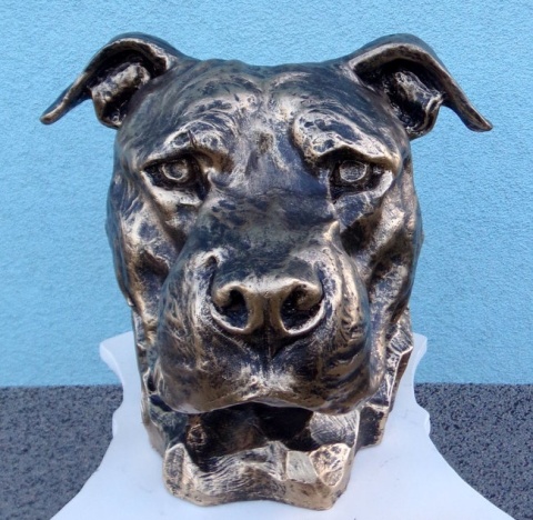 Popiersie Staffordshire Bull Terrier